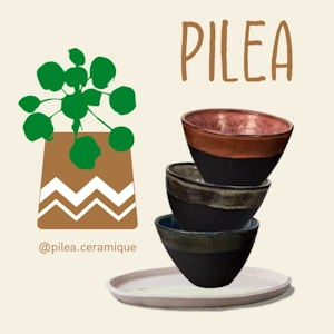 Projet Vibrant Showcase